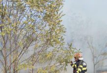 Incendii în Dolj