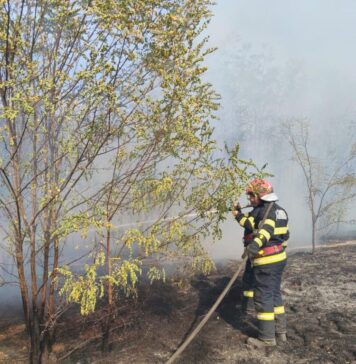 Incendii în Dolj