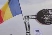 Cetate, comuna hărăzită să se vorbească de ea!