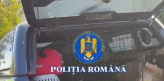 O femeie care a aruncat la gunoi opt căței – amendată cu 12.000 lei