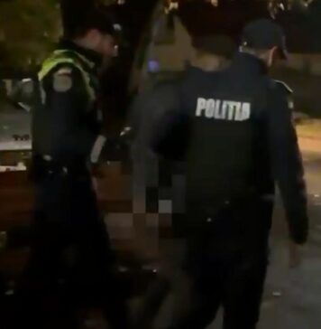 Și-a bătut concubina și a ajuns în mâinile polițiștilor