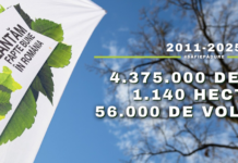 „Plantăm fapte bune în România”: un voluntar, un copac, o lecție