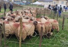 Nişte oameni care ar trebui mai mult luaţi în seamă!