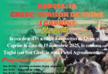 Ţuglui: „Agrozootehnica” –ediţia a 4-a- o expoziţie a crescătorilor de ovine şi caprine
