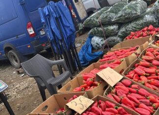 Prin pieţele Craiovei