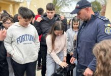 Acțiuni pentru siguranța școlară