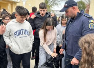 Acțiuni pentru siguranța școlară