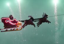 Aeroportul Internațional Craiova – apel către turiștii străini și românii din Diaspora