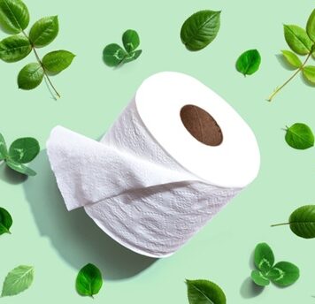 5 motive pentru care merită să alegi hârtia igienică biodegradabilă pentru afacerea ta