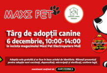 Târg pentru adopții de câini