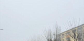 Când un strigăt devine salvare …