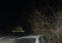 Scene ca-n filme, la Urzicuța