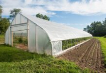 Solariile fără autorizaţie de construcţie nu se impozitează