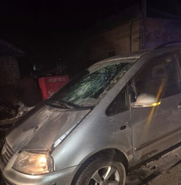 Un șofer bulgar a lovit o femeie din Maglavit