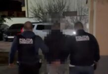 Bătăușul străzii