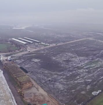 Cetate: Inundaţii la ferma zootehnică de vaci Black Angus