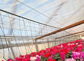 Direcţia pentru Agricultură Dolj: Funcţionari puţini, solicitudine maximă!