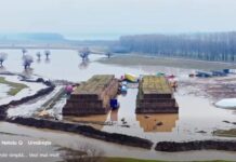 Există nervi şi la Cetate!