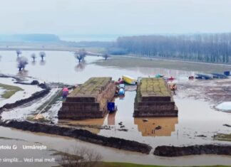 Există nervi şi la Cetate!