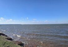 Erodare la digul Polderului Bistreț