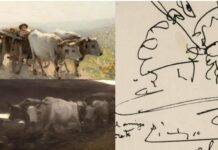 Lovitură dată de ANAF Craiova – aproape 800.000 de euro recuperate de la Darius Vîlcov