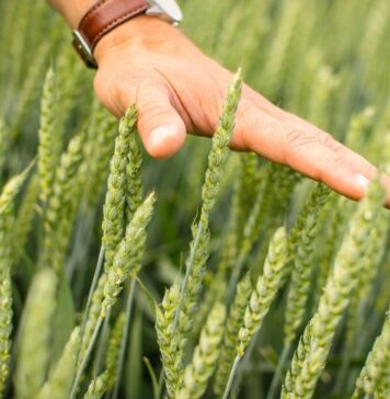 Dialoguri… neliniştitoare!