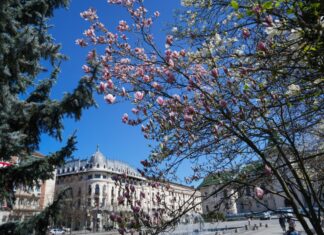 Craiova oraşul magnoliilor