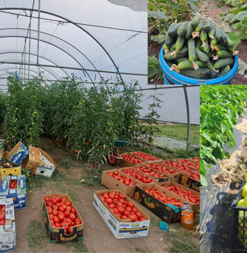 Ca niciodată, Doljul!