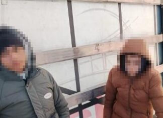 Ascunși între role din aluminiu, descoperiți de polițiștii de frontieră de la Calafat