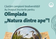 „Natura dintre ape”