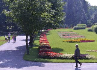 Grădina Botanică: Mirajul unui paradis vegetal