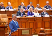 Guvernul Veştea a picat la vot!