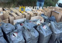 Contrabandist de țigări- arestat. Percheziții în Craiova și Orodel