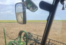 Producţie ca niciodată de grâu, la ferma Măceşul-Isolde SRL