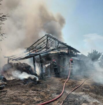 Incendiu la Ciupercenii Noi