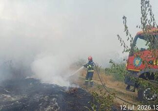 În Dolj, 14 incendii, aproximativ 80 ha de vegetație uscată distruse