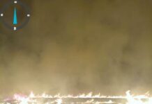 Cinci incendii de vegetație uscată , aproximativ 10 ha distruse, în Dolj