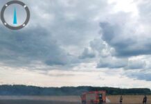 Arde Doljul : peste 250 ha de vegetație uscată și culturi agricole distruse de flăcări