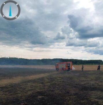 Arde Doljul : peste 250 ha de vegetație uscată și culturi agricole distruse de flăcări