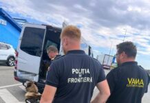 Aproximativ 10.000 de țigarete de contrabandă, descoperite de polițiștii de frontieră
