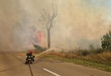 Puternic incendiu de vegetație la Ciutura