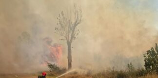 Puternic incendiu de vegetație la Ciutura