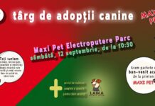 Târg de adopții canine la Craiova