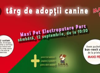Târg de adopții canine la Craiova