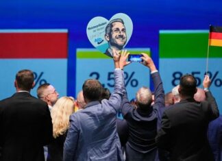 Germania: AfD continuă să crească, dar nu repetă scorul din Saxonia Anhalt