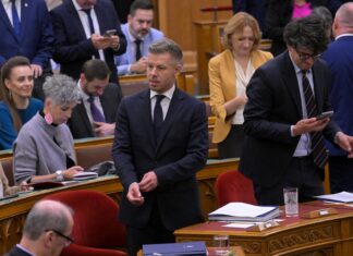 Ungaria: Peter Magyar fără imunitate