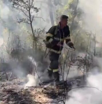 Peste 140 ha de vegetație uscată, mistuite de flăcări, în Dolj