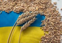 Tranzitul cerealelor ucrainiene prin Polonia şi România sistat