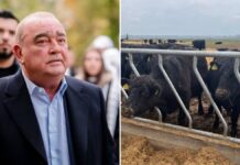 Gheorghe Neţoiu, la Cetate, surprins… „fără bască”!
