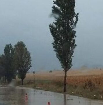 Ploi timide în Dolj